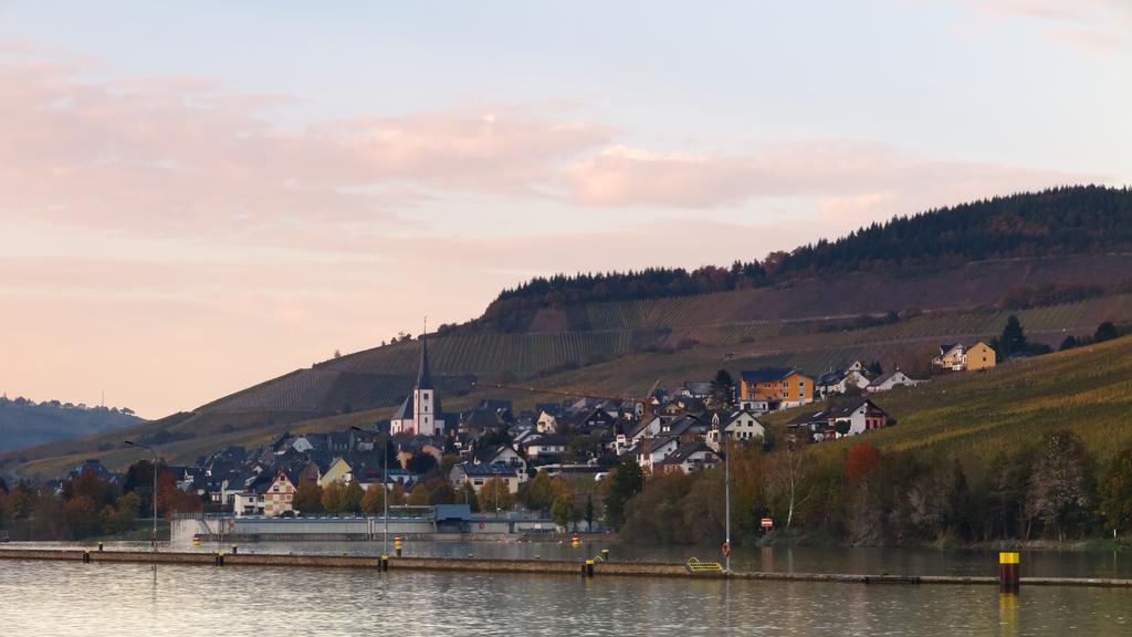 Ferienwohnung Am Edelberg Enkirch Eksteriør bilde